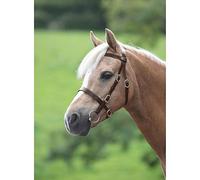 Shires Blenheim Plain Inhand Bridle - Havana Cob