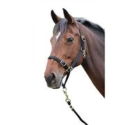 Shires Control Headcollar - Black
