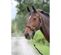 Shires Control Headcollar Black - Full