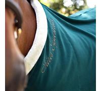 Shires Deluxe Fleece Rug - 5'6"/66" · Green