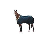 Shires Deluxe Stable Sheet - Green 6ft9