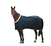 Shires Deluxe Standard-Neck Horse Stable Rug Green (6 6")