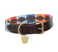 Shires Digby and Fox Drover Polo Dog Collar - XXS (20 - 28cm) · Turquoise/Red/Orange/Blue