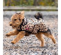 Digby and Fox Leopard Print Dog Coat - Large