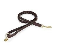 Shires Digby and Fox Plaited Dog Lead - Brown