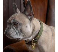 Digby and Fox Tweed Dog Collar Red/Yellow/Blue Check - Extra Extra Small