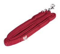 Shires Digby & Fox Cushion Web Dog Lead - Soft Padded Anti-Chafe Quilted Handle, Durable Tubular Webbing, Brass Hardware, Multiple Colours & Sizes (Red, 1.5cm)