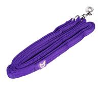 Shires Digby & Fox Cushion Web Dog Lead - Soft Padded Anti-Chafe Quilted Handle, Durable Tubular Webbing, Brass Hardware, Multiple Colours & Sizes (Purple, 2cm)