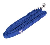 Shires Digby & Fox Cushion Web Dog Lead - Soft Padded Anti-Chafe Quilted Handle, Durable Tubular Webbing, Brass Hardware, Multiple Colours & Sizes (Royal, 2cm)