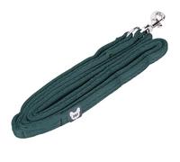 Shires Digby & Fox Cushion Web Dog Lead - Soft Padded Anti-Chafe Quilted Handle, Durable Tubular Webbing, Brass Hardware, Multiple Colours & Sizes (Green, 1.5cm)