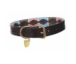 Shires Digby & Fox Drover Polo Dog Collar N/P/N XS
