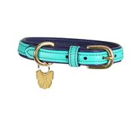 Shires Digby & Fox Padded Leather Dog Collar - Aqua Small