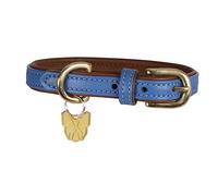 Digby and Fox Padded Leather Dog Collar Royal - Extra Small