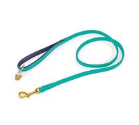 Shires Digby & Fox Padded Leather Dog Lead - Aqua 1.2cm