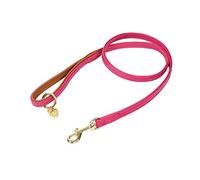 Shires Digby & Fox Padded Leather Dog Lead Pink 1.2CM