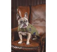 Shires Digby & Fox Tweed Dog Coat - Red/Yellow/Blue Check XS