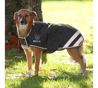 Shires Digby & Fox Waterproof Dog Coat - Green