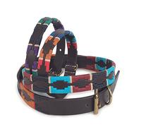 Digby and Fox Drover Polo Dog Collar Turquoise/Red/Orange/Blue - Medium