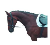 Shires Elastic Training Horse Reins Black (6mm)