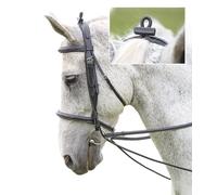 Shires Elastic Training Reins