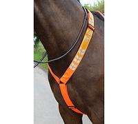 Shires Equi-Flector Breastplate - Orange Cob/Full