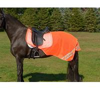 Shires Equi-Flector Mesh Exercise Sheet (57, Orange)