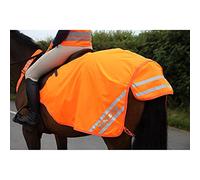 Shire Exercise Sheet Equi-Flector Hi Viz Mesh - Pony 51" Orange