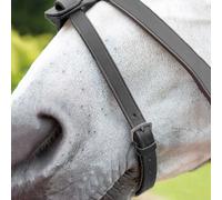 Shires Flash Strap - Black - Size: Pony