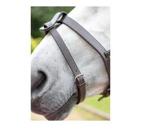 Shires Flash Strap - Brown - Size: Pony