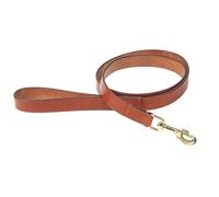 Digby and Fox Flat Leather Dog Lead Tan - Medium