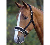Shires Fleece Lined Lunge Cavesson with Padded Headpiece - Black - Size: Extra Full