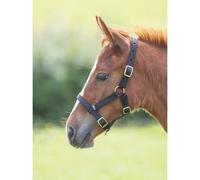 Shires Foal Headcollar Black - Foal