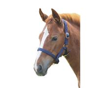 Shires Foal Headcollar Navy (Foal/mini)