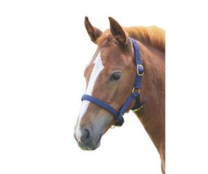 Shires Foal Headcollar Navy (Foal/mini)