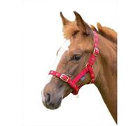 Shires Foal Headcollar Red (Foal/mini)