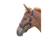 Shires Foal Headcollar Black - Foal