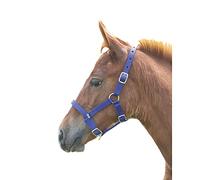 Shires Foal Nylon Headcollar Royal