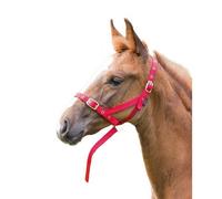 Shires Foal Slip Headpiece Red (Foal/mini)