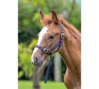 Shires Nylon Foal Slip Navy Blue