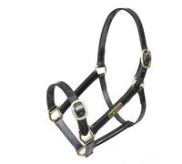 Velociti Gara Fully Adjustable Leather Headcollar - Yearling · Black