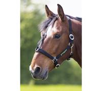 Shires Greenguard Headcollar Black