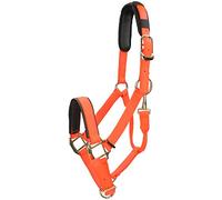 Shires Halter Nylon Topaz in size: Pony (EU). - orange - Pony