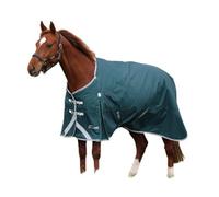 Shires Highlander Original 300 Standard-Neck Horse Turnout Rug Green (6 0")