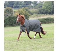 Shires Highlander Plus 50 Turnout Rug for Horses Green - 5'6"