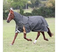 Shires Highlander Plus 50g Combo Turnout Rug - Green 5'3" / 63", Green