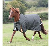 Shires Highlander Plus 50 Turnout Rug for Horses Green - 6'3"