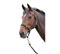 Shires Horse Headcollar ER336