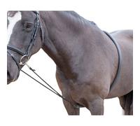 Shires Horse Lunging Aid Black (One Size)
