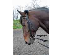 Shires Lunging Adapter Black - One Size