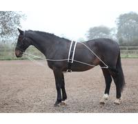 Shire Lunging Aid – One Size – Black